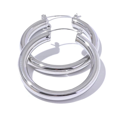 pair of stainless steel hoop earrings