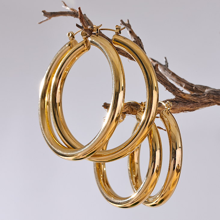Gold hoop earrings on a branch with a neutral background